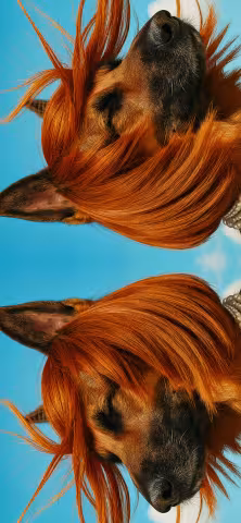 Works Banner Image 2